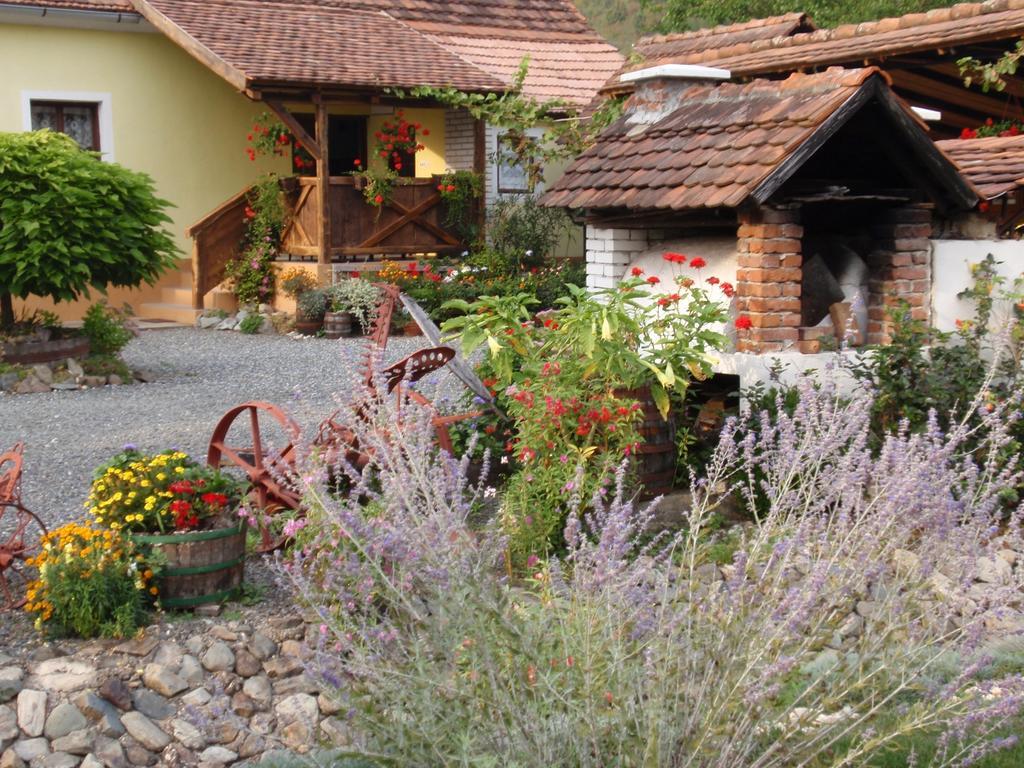 Country House Stara Kapela Nova Kapela エクステリア 写真